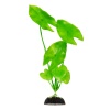 003/20см Plant зеленое растение Барбус