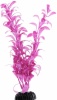 017/20см Plant лиловый растение Барбус