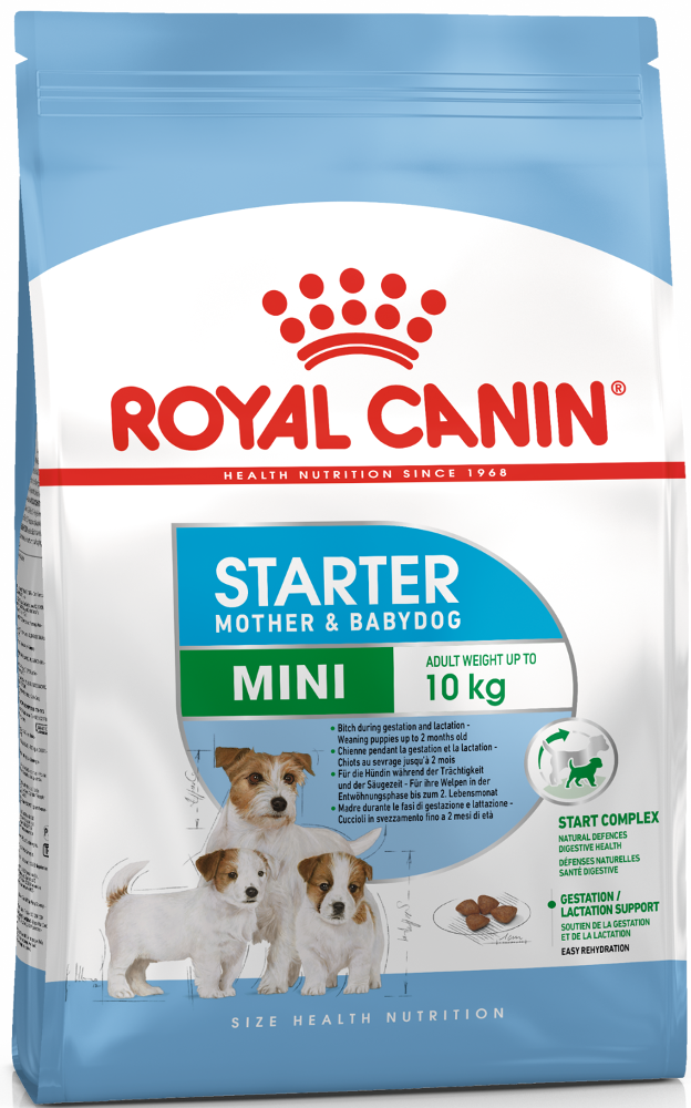 ROYAL CANIN MINI Starter Корм для щенков до 2-х месяцев, беременных и кормящих сук
